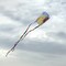 In the Breeze Coloring Sled 18 Inch Kite - 50 Piece Party Pack -Single Line Kite-Includes Crayons, Kite Line and Bag-Creative Fun for Kids and Adults